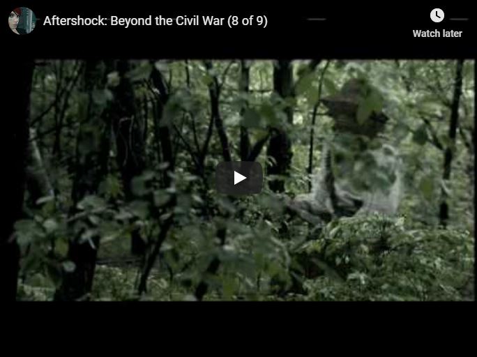 [A&E / IMDB] Aftershock: Beyond the Civil War (8 of 9)